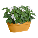 vibia campana wall basket 35cm honey yellow